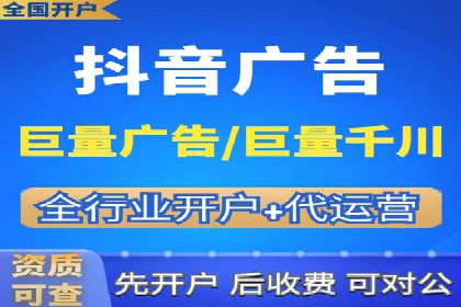 SEO策略在电商平台的成功应用案例
